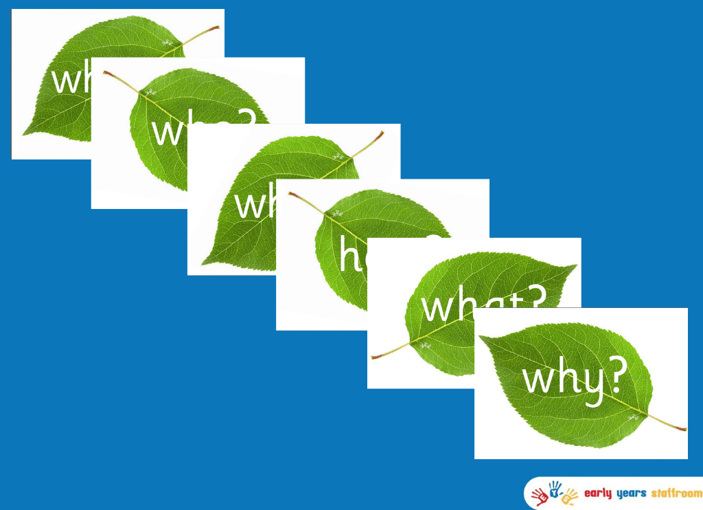 Natural Leaf Questions for Science Investigation Area (Sassoon Font)