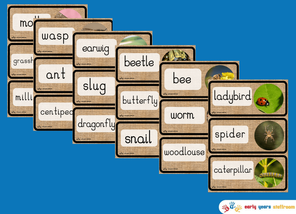 Early Years Planning And Resources