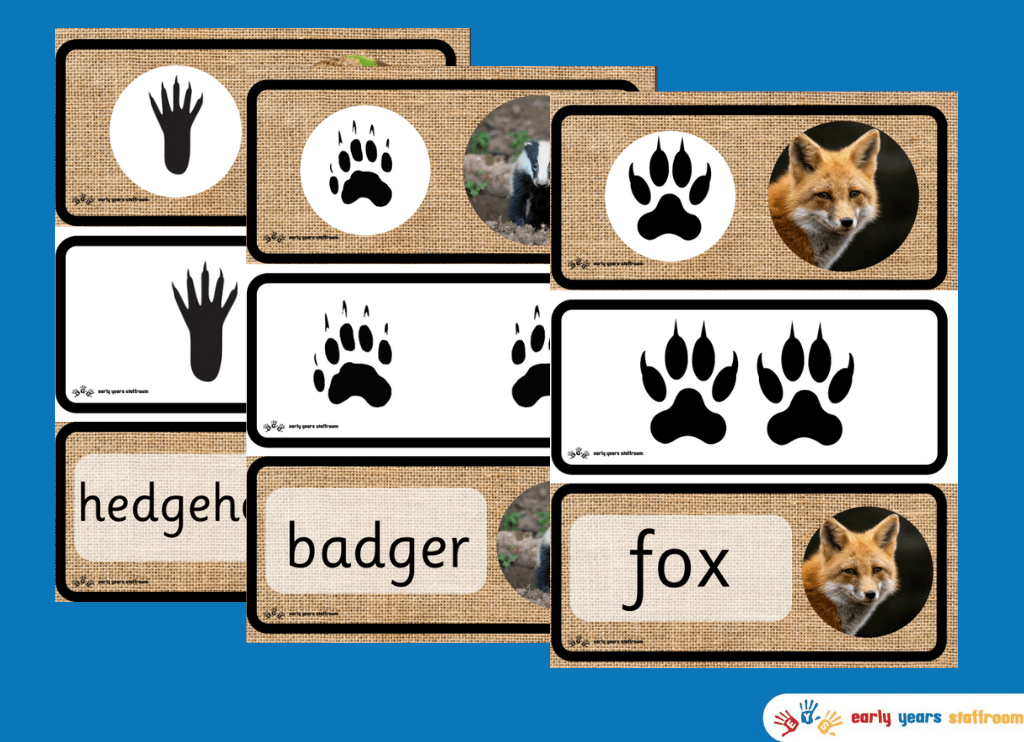 Animal Footprints Word Cards Forest School