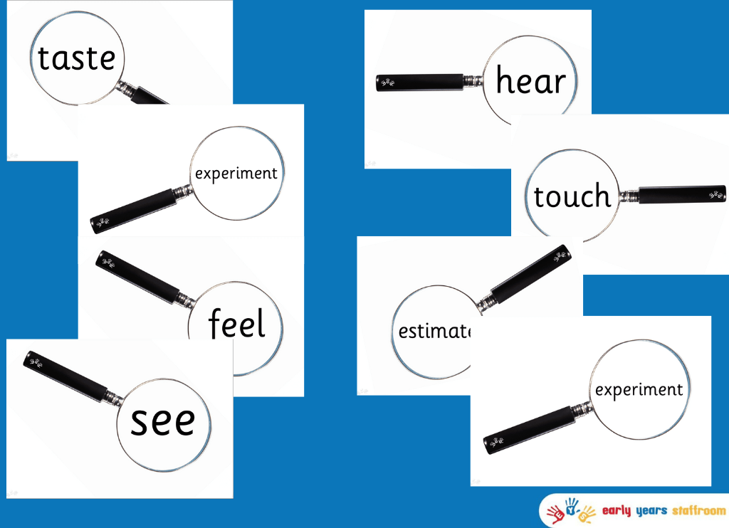 Magnifying Glass Investigation Science Words (Sassoon Font )
