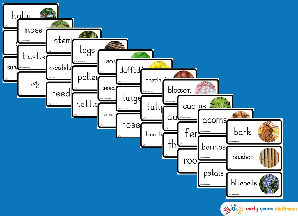 Plants and Trees Themed Word Cards (White Background)