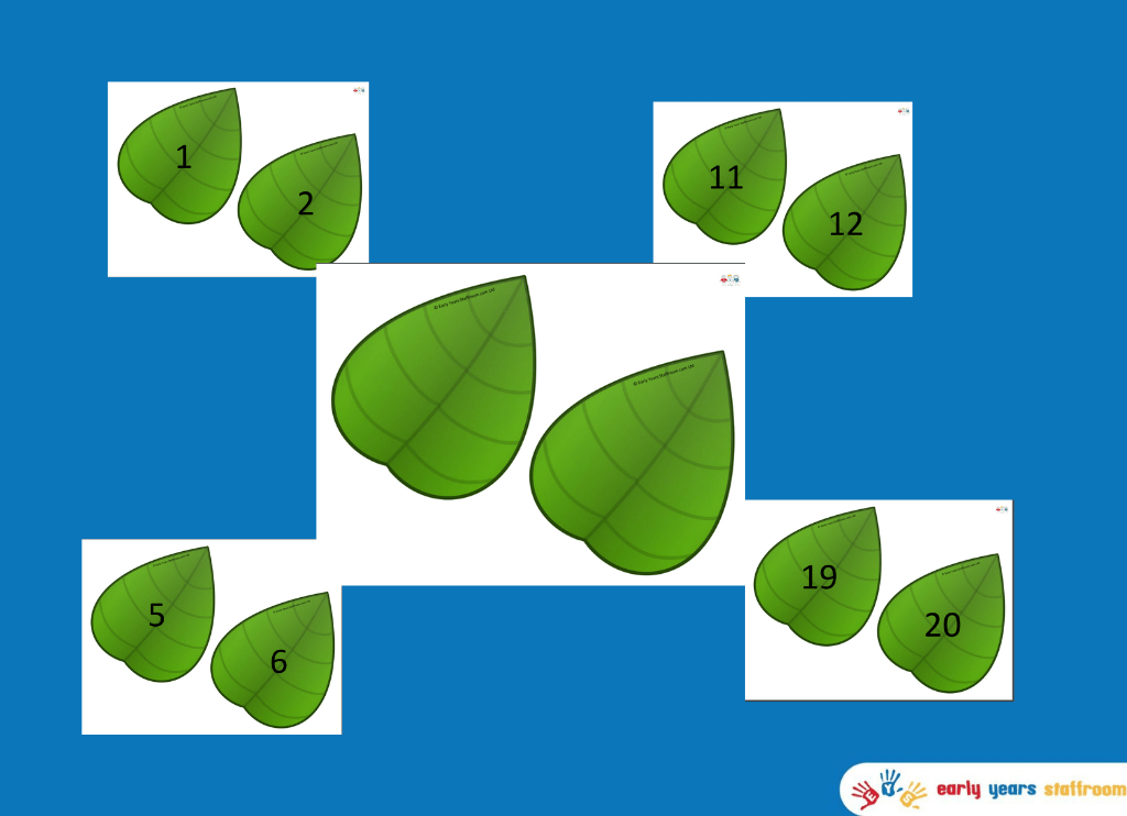 Leaves 1-20