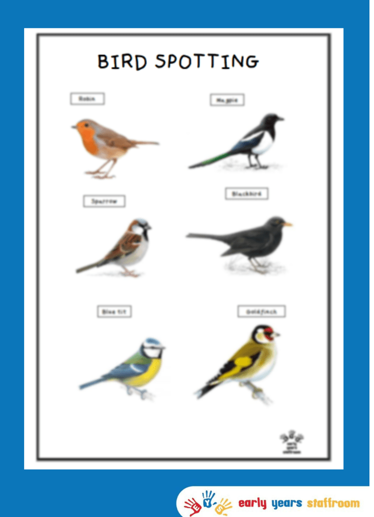 Bird Spotting Handout Home Learning